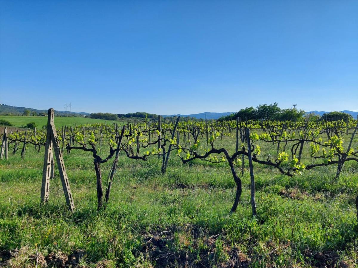Tenuta I Lecci Террануова-Браччоліні Екстер'єр фото